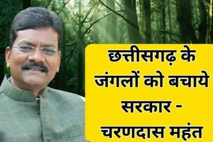 Hindi News Chhattisgarh Government should save the forests of Chhattisgarh - Charandas Mahant